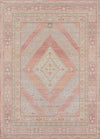 Poppy Traditional 7'10\" x 10'6\" Area Rug in Pink Indoor Area Rug