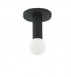 Dainolite Adams 1 Light Flush Mount Matte Black Lamp