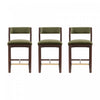 Patricia Modern Wood Upholstered Counter Stool in Turtle Green - Set of 3