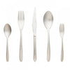 Arimi Giulia Frozen Italian Stainless Steel 20 Piece Flatware Set - Service For 4