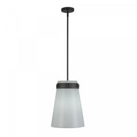 Dahlia 1 Light Pendant 12