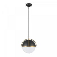 Dahlia 1 Light Pendant 15.4