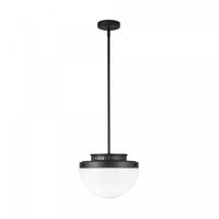 Dahlia 1 Light Pendant 12