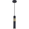 Dainolite Passwell 1 Light Pendant Matte Black/Aged Brass Lamp