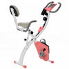 Soozier 2 In 1 Upright Exercise Bike Stationary Foldable Magnetic Recumbent Cycling With Arm Resistance Bands Pink
