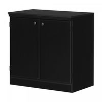 Morgan Small 2-door Storage Cabinet - Pure Black