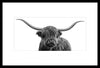 Framed Steer Photography - 30