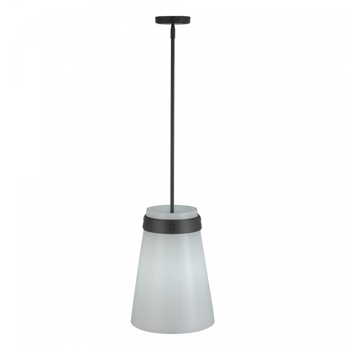 Dahlia 1 Light Pendant 12\", Black