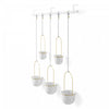Umbra White and Brass Triflora Hanging Planter - Set of 7
