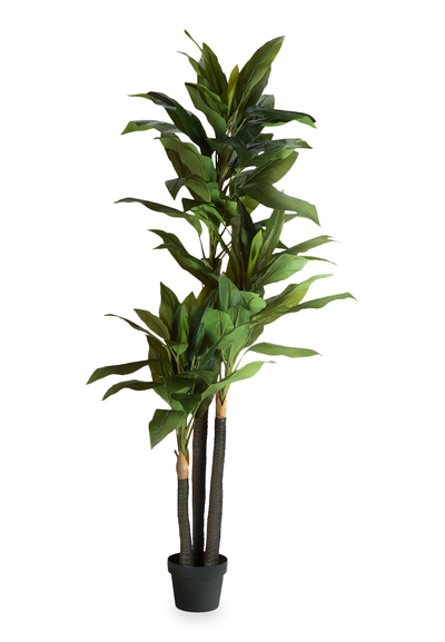 82.75” Artificial Indoor Dracaena in 8” Pot | Dracaena artificiel de 82,75 po en pot de 8 po pour l’intérieur