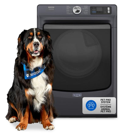 Maytag 7.4 Cu. Ft. Pet Pro Smart Electric Dryer - Midnight Steel - YMED7020RF | Sécheuse électrique intelligente Pet Pro de 7,4 pi3 de Maytag - acier minuit - YMED7020RF | YMED7020