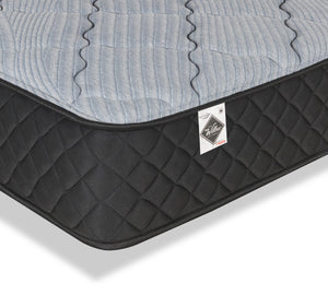 Springwall Red Cedar Tight Top Medium Twin XL Mattress-in-a-Box