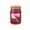 9.2oz Electroplated Mason Jar Candle Winter Berry