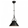 Brydon 1-Light Black Wall Sconce Pendant