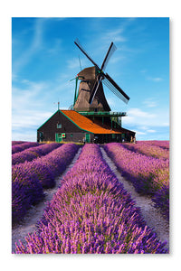 Lavender Fields With Windmill 24x36 Wall Art Frame And Fabric Panel