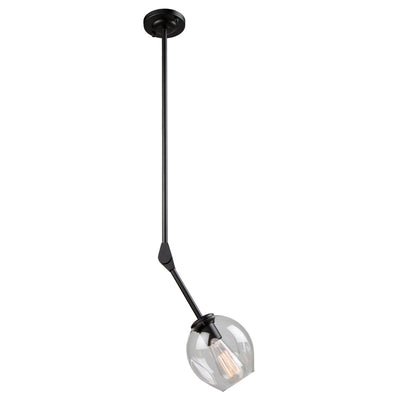 Organic Pendant Light II