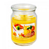 18 Oz Scented Jar with Glass Lid Zesty Citrus - Set of 2 Candle