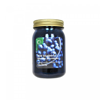 9.2oz Electroplated Mason Jar Candle Wild Blueberry - Set of 2|Chandelle de 9,2 oz à arôme de bleuets sauvages dans un pot Mason électroplaqué - ensemble de 2