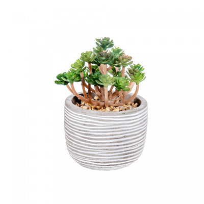Artificial Succulent in Cement Pot - Set of 2 Artificial Flower|Plante grasse artificielle dans un pot en ciment - ensemble de 2 fleurs artificielles