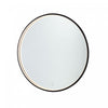 Reflections 25 W LED Lighted Mirror