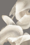 \"Evolution Of White\" Giant Art 72x48 Wall Art