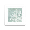 \"Sea Crown Ii\" Matted and Framed White 30x30 Wall Art