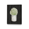 \"Herbs On Black Wood Ii\" Canvas Framed Black 24x32 Wall Art