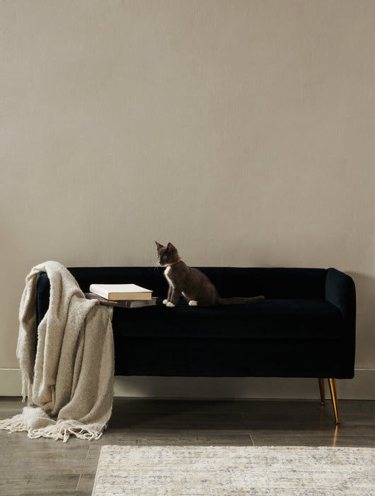 Cass 52\" Bench - Black Velvet with Gold Legs