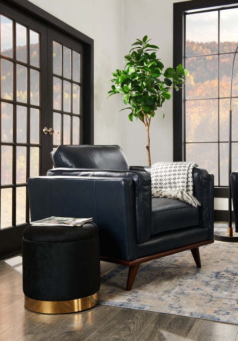 Phebe 16.5\" Storage Ottoman with Gold Trim Base - Black