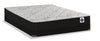 Springwall Autumn Tight Top Low-Profile Queen Mattress-in-a-Box Set