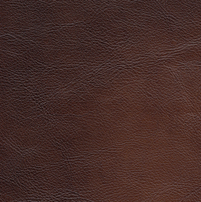 Hydeline Standwood Leather Sofa - Brown