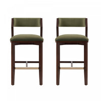 Patricia Modern Wood Upholstered Barstool in Turtle Green - Set of 2