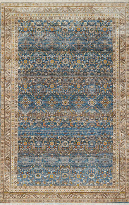 Gianna Traditional 9'0\" x 12'0\" Area Rug in Blue Indoor Area Rug