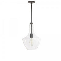 Dainolite Petalite 1 Light Pendant Small Matte Black Clear Glass Lamp