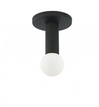 Dainolite Adams 1 Light Flush Mount Matte Black Lamp