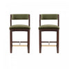 Patricia Modern Wood Upholstered Counter Stool in Turtle Green - Set of 2