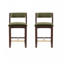 Patricia Modern Wood Upholstered Counter Stool in Turtle Green - Set of 2 