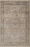 Selena Traditional 8'0\" x 10'0\" Area Rug in Grey Indoor Area Rug