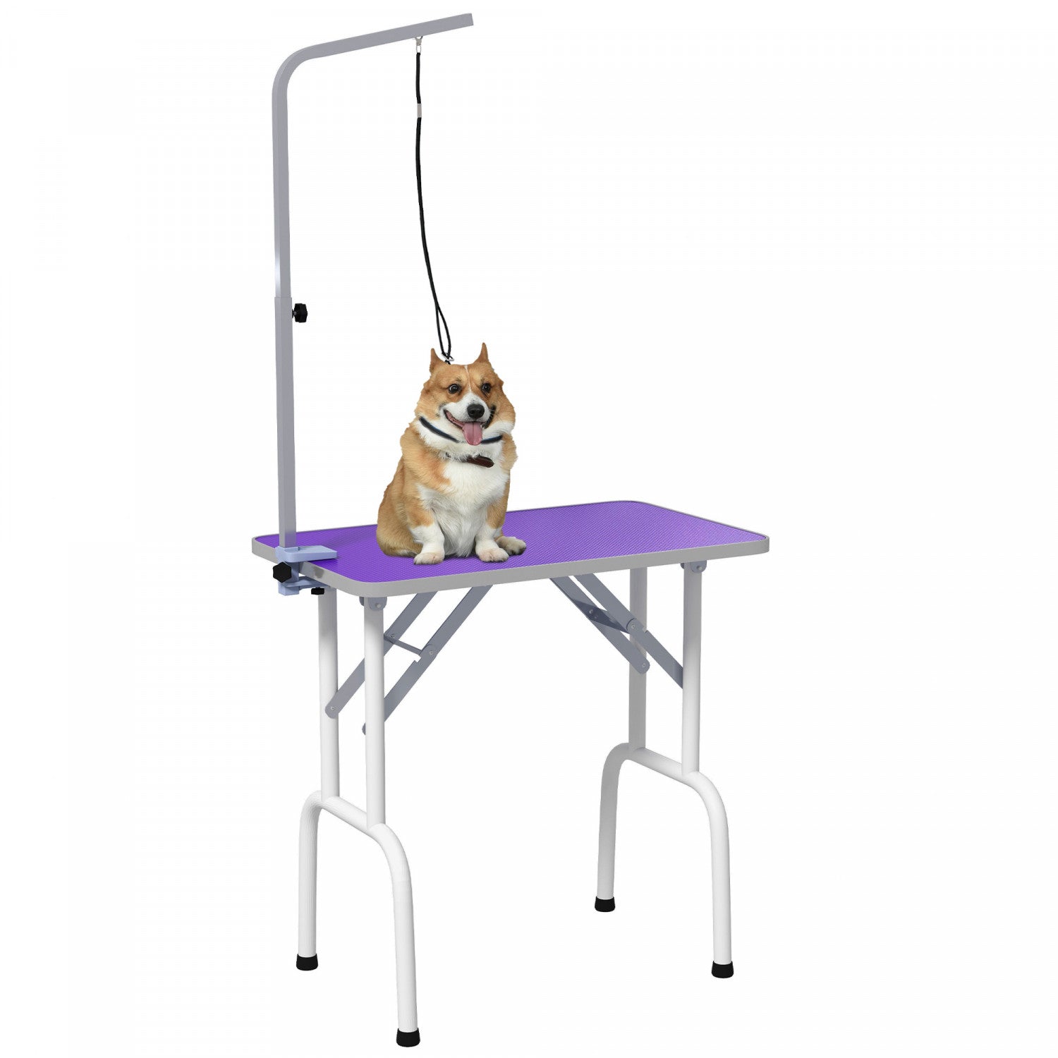 PawHut 32in Foldable Dog Grooming Table for Small Dogs Pet Grooming Table for Dogs Cats with Adjustable Arm Non Slip Surface Purple