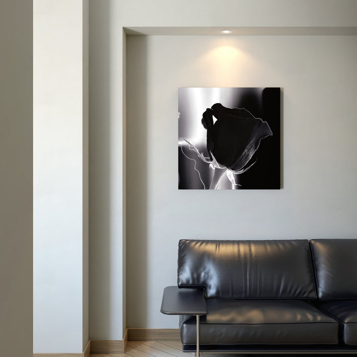 Daone Wall Art