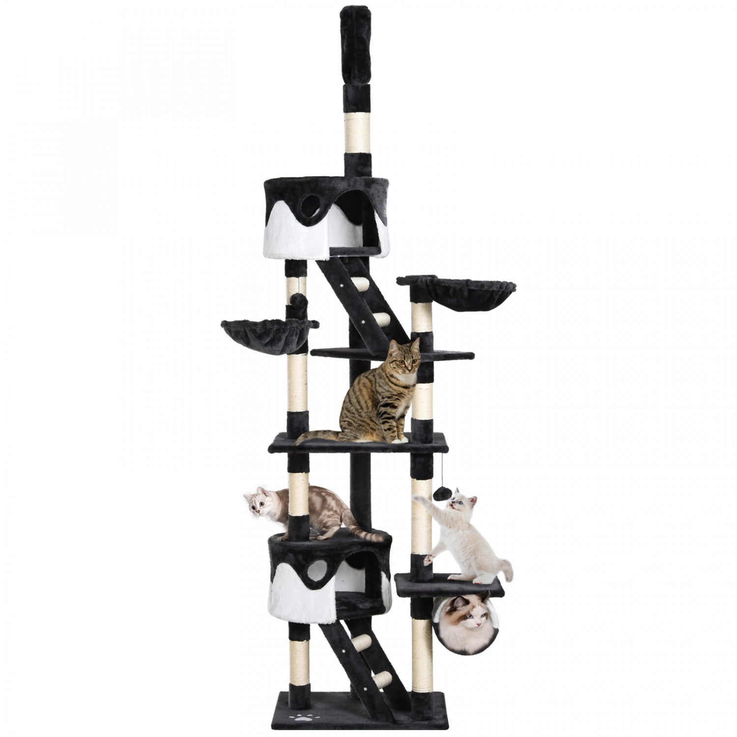 CAT★ Pawhut Floor To Ceiling Cat Tree For Large Cats Adult, Cat