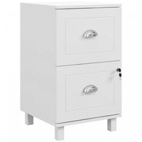 HOMCOM Lockable 2 Drawer File Cabinet with Hanging Bars for A4 and Letter