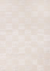 Leonardo White Grey Checkered Area Rug - 6'7\" x 9'6\"