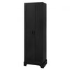 Liam Multi-Functional Storage Cabinet with Doors and Adjustable Shelves,Black Accent Cabinet