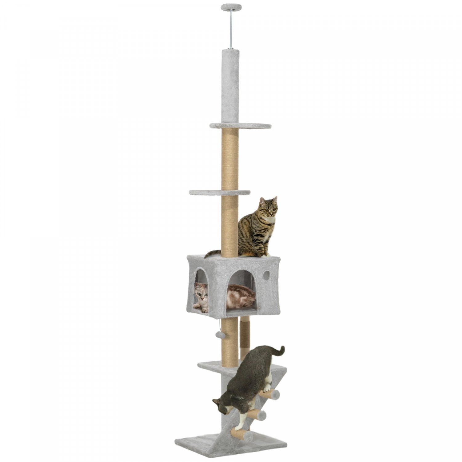 CAT★ Pawhut Floor To Ceiling Cat Tree For Large Cats Adult, Cat
