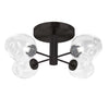 Dainolite Abii 4 Light Semi-flush Mount Matte Black Finish Clear Glass Lamp