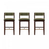Patricia Modern Wood Upholstered Barstool in Turtle Green - Set of 3