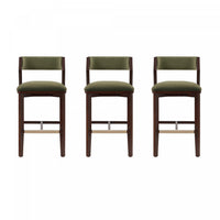 Patricia Modern Wood Upholstered Barstool in Turtle Green - Set of 3