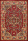 Elara Traditional 9'3\" x 12'6\" Area Rug in Red Indoor Area Rug