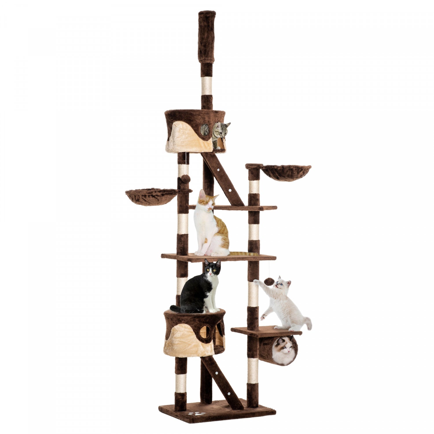 Giant cat towers shop
